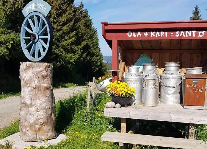 Idyllisk Minihus I Landlige Omgivelser - Med 5 Sengeplasser Og Parkering * Åsen