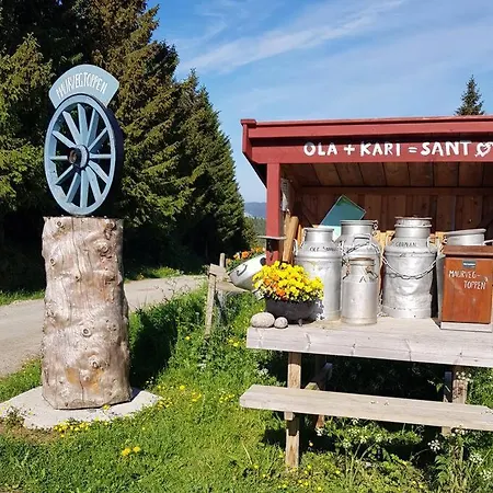 Idyllisk Minihus I Landlige Omgivelser - Med 5 Sengeplasser Og Parkering * Åsen